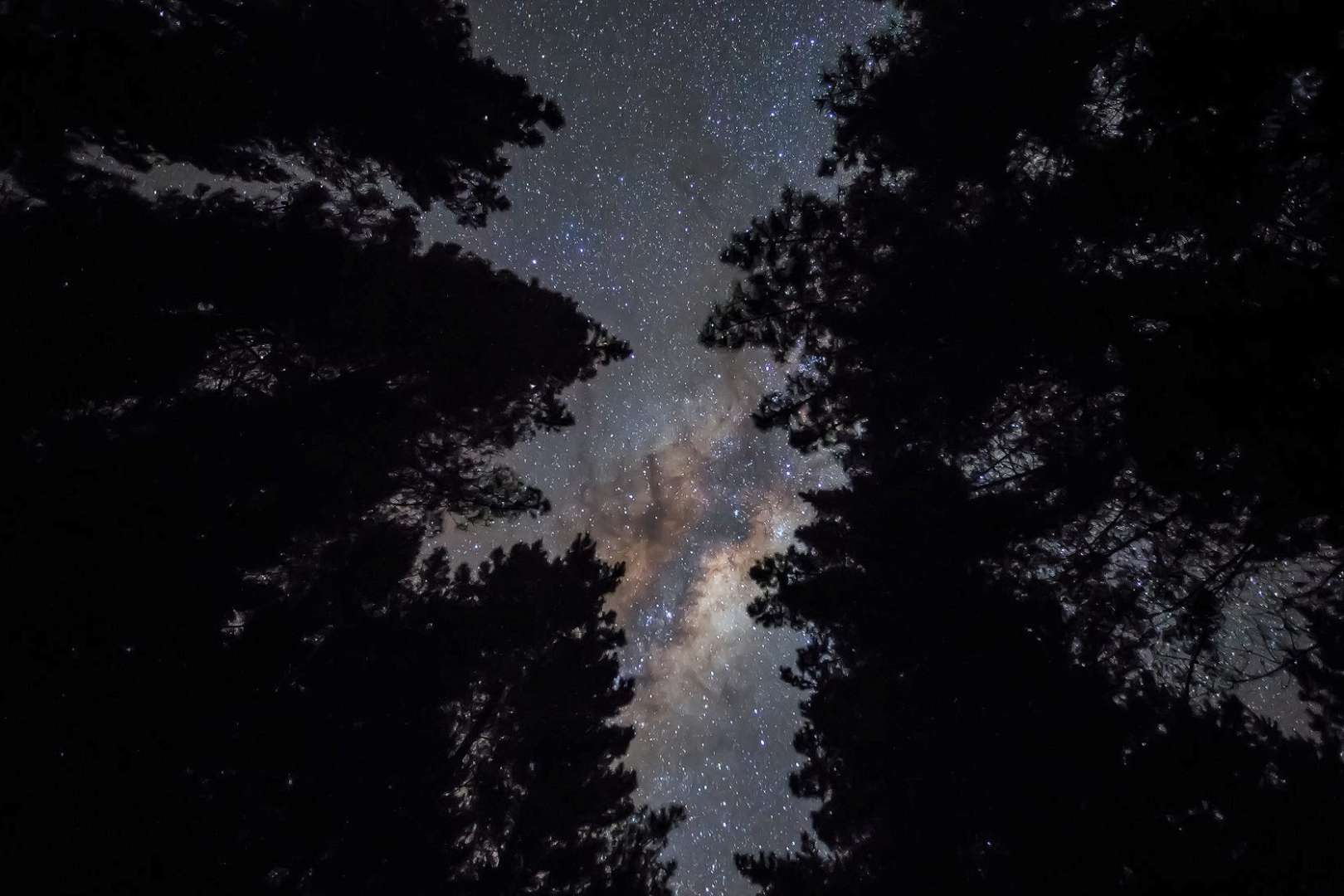 Lake Rotoiti at night with starlight